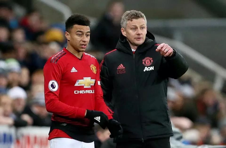 年度期待 年度期待